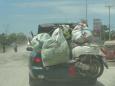 See the passengers?