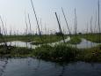 ... about floating gardens...