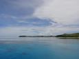 These corals can be seen form the catamaran