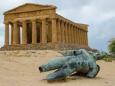 Fallen Icarus in Agrigento