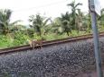 The main line Phnom Penh - Sihanoukville
