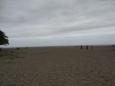 Vastness of gray sand
