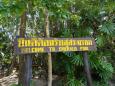 800 m into the jungle