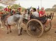 Ceremonial carriage - for us transportation on a ox cart