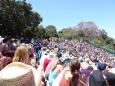 Audience at the bird show