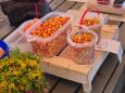 Cloudberry - super expensive