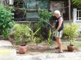So, we're watering