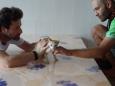 From hands to hands