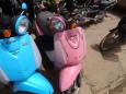 Blue or pink?