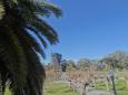 The museu view tour