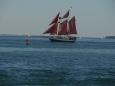 Tall ships are gathering