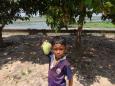 Great fruit