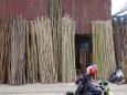 Bamboo anth other sticks