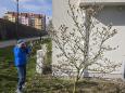 Fascination with spring