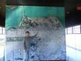 Satelite picture of San Francisco