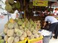 Tasty but smelly durians