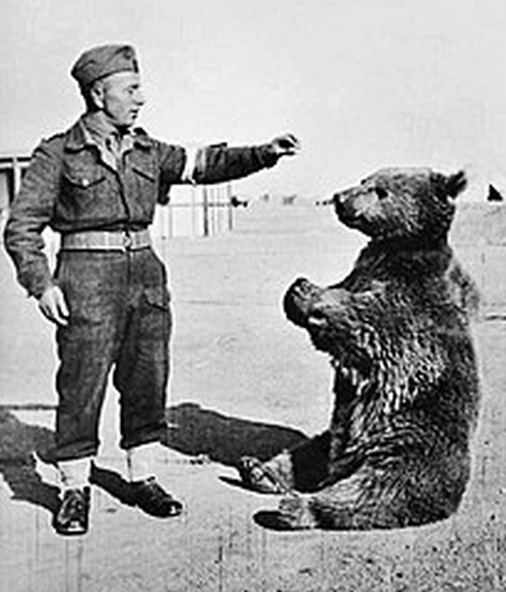 Wojtek