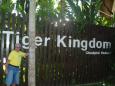 Królestwo Tygrysa