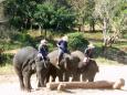 Jeden słoń – jeden mahut