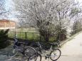 Wiosna i rowery